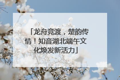 龙舟竞渡，楚韵传情！知音湖北端午文化焕发新活力