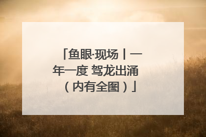 鱼眼·现场丨一年一度 驾龙出涌（内有全图）
