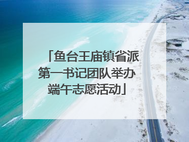 鱼台王庙镇省派第一书记团队举办端午志愿活动