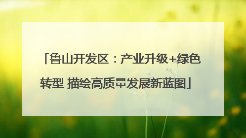 鲁山开发区：产业升级+绿色转型 描绘高质量发展新蓝图