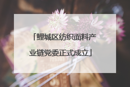 鲤城区纺织面料产业链党委正式成立