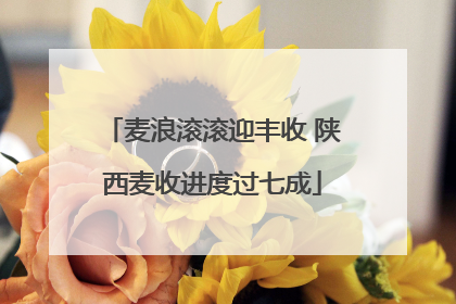 麦浪滚滚迎丰收 陕西麦收进度过七成