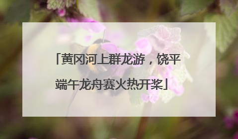 黄冈河上群龙游，饶平端午龙舟赛火热开桨