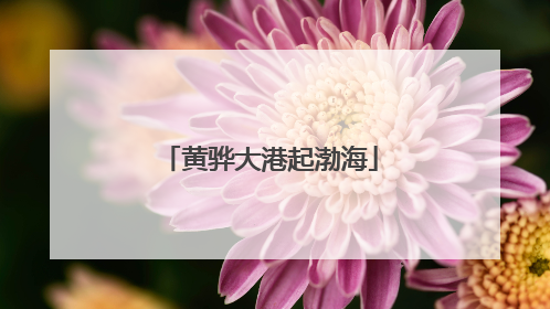 黄骅大港起渤海