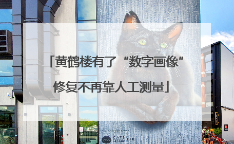 黄鹤楼有了“数字画像” 修复不再靠人工测量