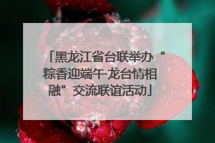 黑龙江省台联举办“粽香迎端午·龙台情相融”交流联谊活动