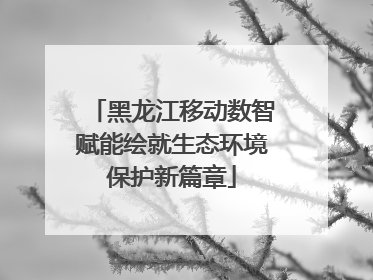 黑龙江移动数智赋能绘就生态环境保护新篇章
