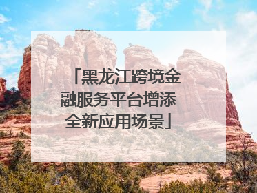 黑龙江跨境金融服务平台增添全新应用场景