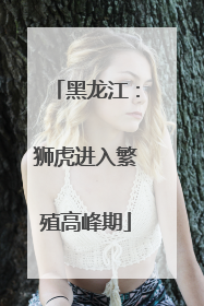 黑龙江：狮虎进入繁殖高峰期