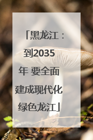 黑龙江：到2035年 要全面建成现代化绿色龙江