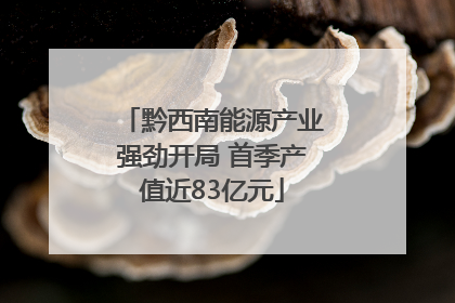 黔西南能源产业强劲开局 首季产值近83亿元