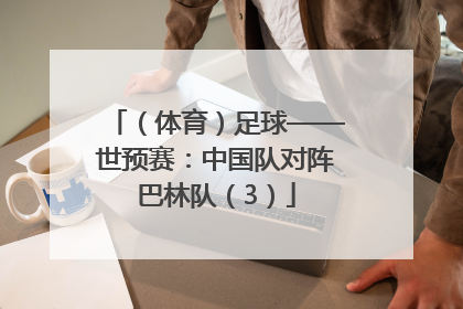 （体育）足球——世预赛：中国队对阵巴林队（3）
