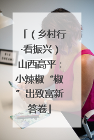 （乡村行·看振兴）山西高平：小辣椒“椒”出致富新答卷