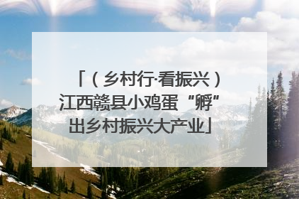 （乡村行·看振兴）江西赣县小鸡蛋“孵”出乡村振兴大产业