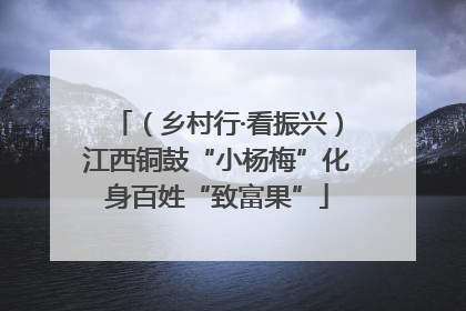 （乡村行·看振兴）江西铜鼓“小杨梅”化身百姓“致富果”
