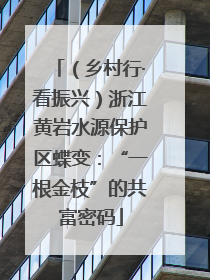 （乡村行·看振兴）浙江黄岩水源保护区蝶变：“一根金枝”的共富密码