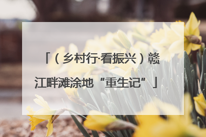 （乡村行·看振兴）赣江畔滩涂地“重生记”