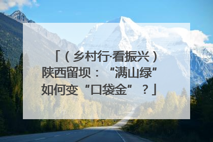 （乡村行·看振兴）陕西留坝：“满山绿”如何变“口袋金”？