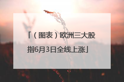 （图表）欧洲三大股指6月3日全线上涨