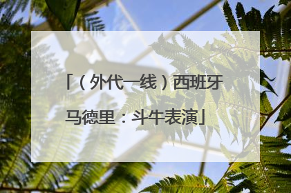 （外代一线）西班牙马德里：斗牛表演