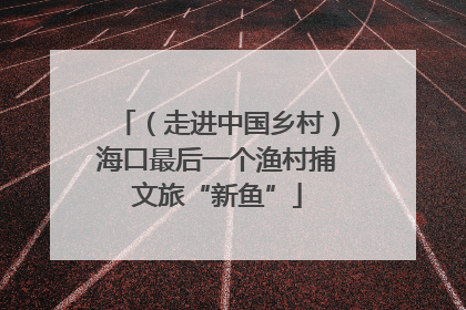 （走进中国乡村）海口最后一个渔村捕文旅“新鱼”