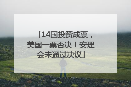 14国投赞成票，美国一票否决！安理会未通过决议