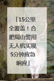 15公里全覆盖！合肥蜀山警用无人机实现5分钟应急响应