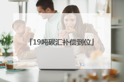 19吨碳汇补偿到位