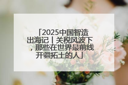2025中国智造出海记丨关税风波下，那些在世界最前线开疆拓土的人