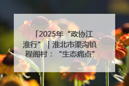 2025年“政协江淮行”｜淮北市渠沟镇程阁村：“生态痛点”变“生态景观”