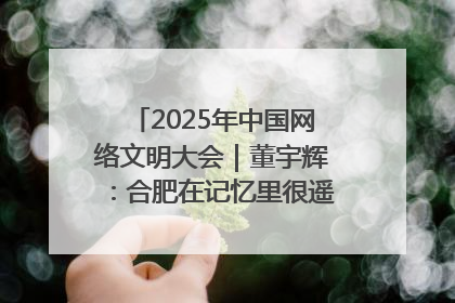 2025年中国网络文明大会｜董宇辉：合肥在记忆里很遥远也很亲切