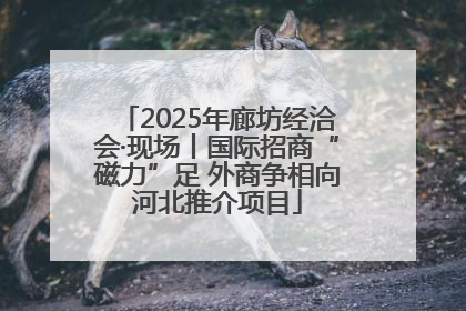 2025年廊坊经洽会·现场丨国际招商“磁力”足 外商争相向河北推介项目