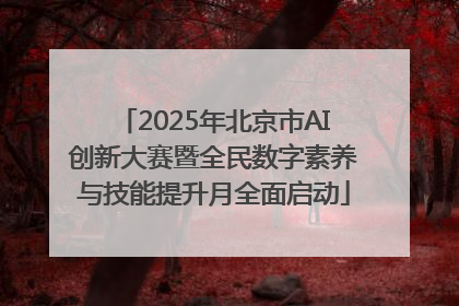 2025年北京市AI创新大赛暨全民数字素养与技能提升月全面启动