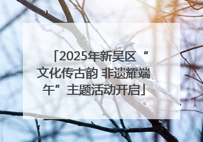 2025年新吴区“文化传古韵 非遗耀端午”主题活动开启