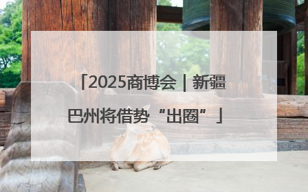 2025商博会｜新疆巴州将借势“出圈”