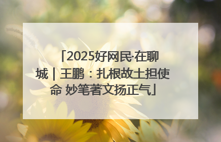 2025好网民·在聊城｜王鹏：扎根故土担使命 妙笔著文扬正气