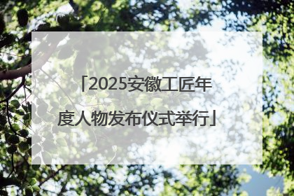 2025安徽工匠年度人物发布仪式举行