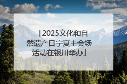2025文化和自然遗产日宁夏主会场活动在银川举办