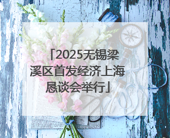 2025无锡梁溪区首发经济上海恳谈会举行