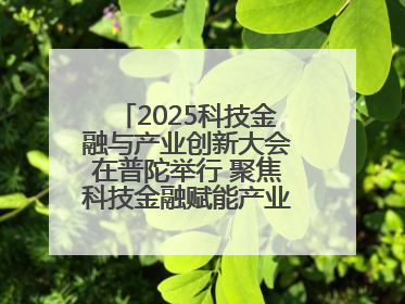 2025科技金融与产业创新大会在普陀举行 聚焦科技金融赋能产业升级之策