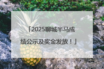 2025聊城半马成绩公示及奖金发放！