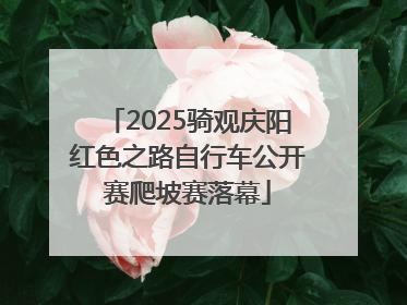 2025骑观庆阳红色之路自行车公开赛爬坡赛落幕