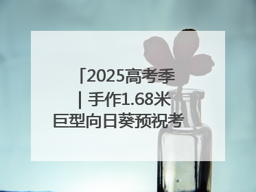 2025高考季｜手作1.68米巨型向日葵预祝考生“一举夺魁”