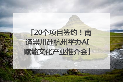 20个项目签约！南通崇川赴杭州举办AI赋能文化产业推介会