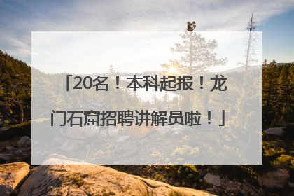 20名！本科起报！龙门石窟招聘讲解员啦！