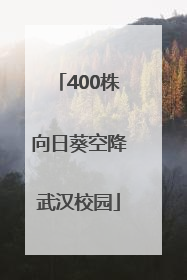 400株向日葵空降武汉校园