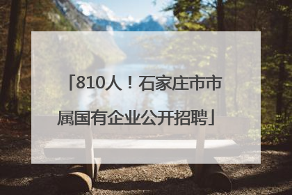 810人！石家庄市市属国有企业公开招聘