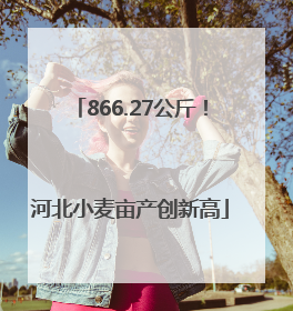 866.27公斤！河北小麦亩产创新高
