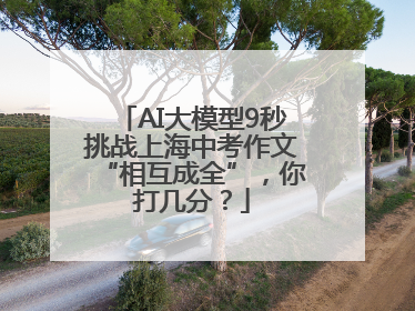 AI大模型9秒挑战上海中考作文“相互成全”，你打几分？