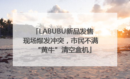 LABUBU新品发售现场爆发冲突，市民不满“黄牛”清空盒机